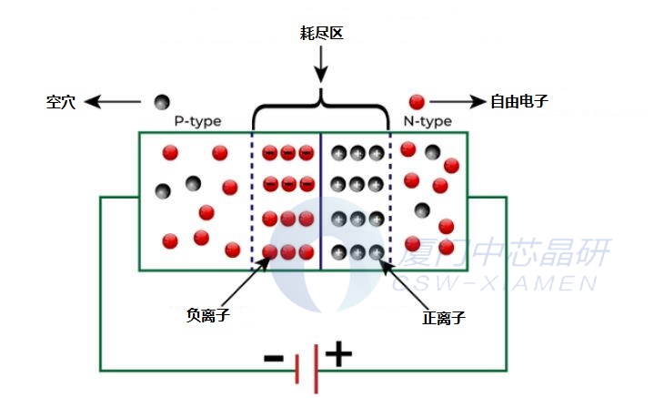 反向偏置p-n结二极管工作原理示意图