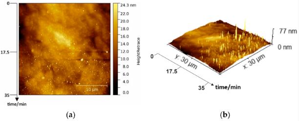图1  ( a ) 30 × 30 µm² 湿法化学清洗蓝宝石基 p-GaN 的概览 2D AFM 图像； ( b ) 相应的 3D 图像