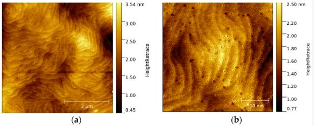 图2 ( a ) 湿法化学清洗后的硅基p-GaN 的 5 × 5 µm² AFM 图像；( b ) 同一样品的高倍数 1 × 1 nm² AFM 图像